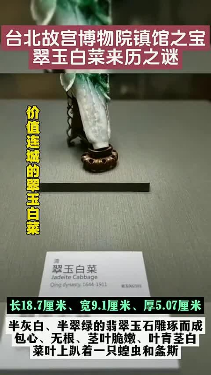 翠玉白菜文物的历史与文化价值探讨,吸引551人点赞