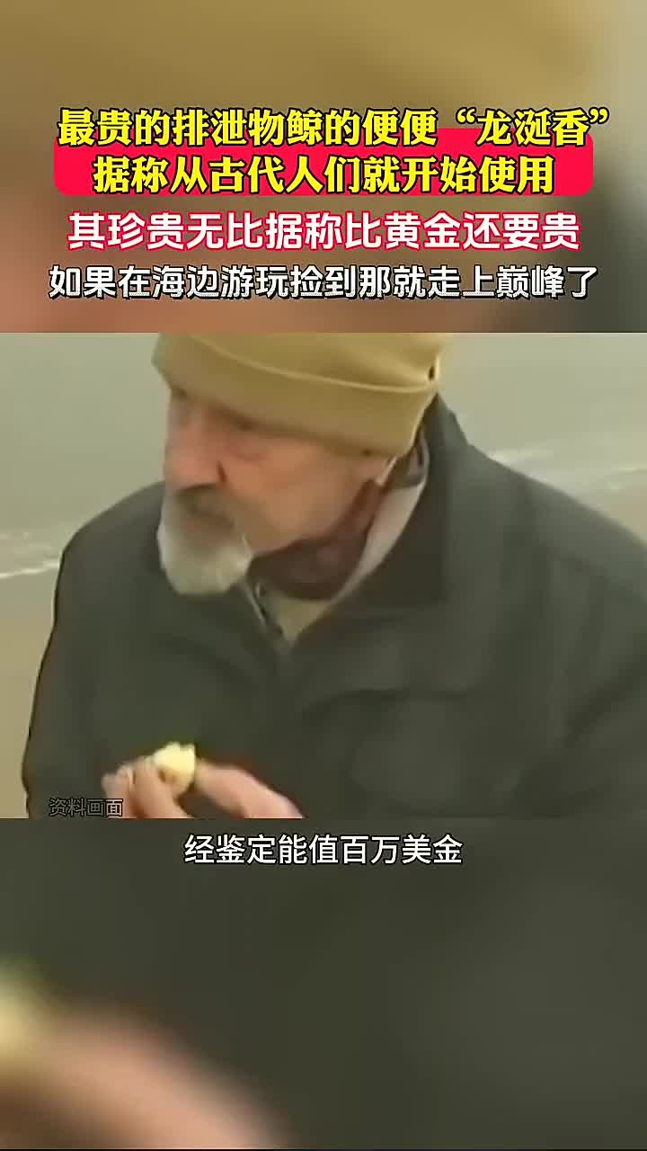 鲸鱼排泄物中的“龙涎香”愈发珍贵