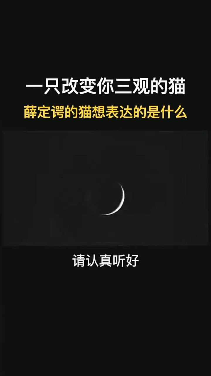 猫是如何影响我们的认知方式的探讨