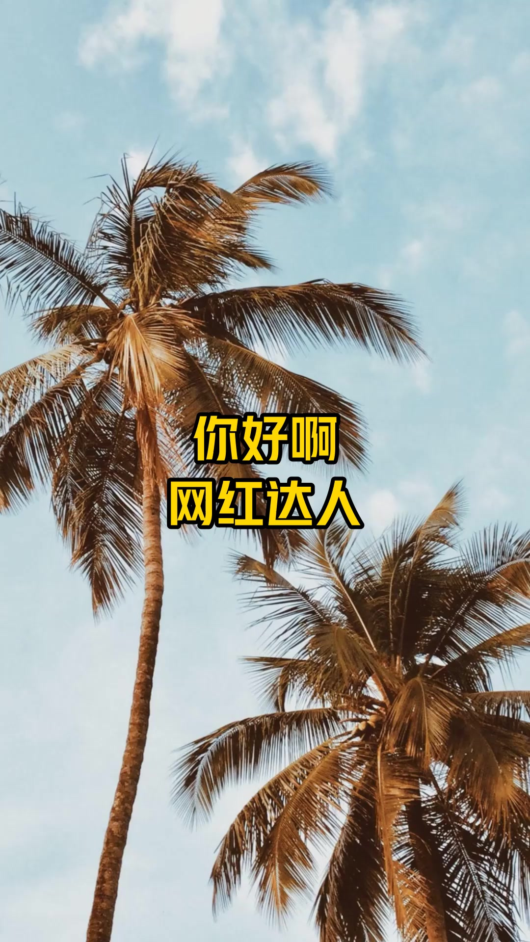 你好啊,网红达人