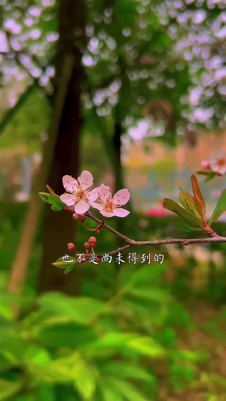 男人对婚姻,是渴望有个心灵归处