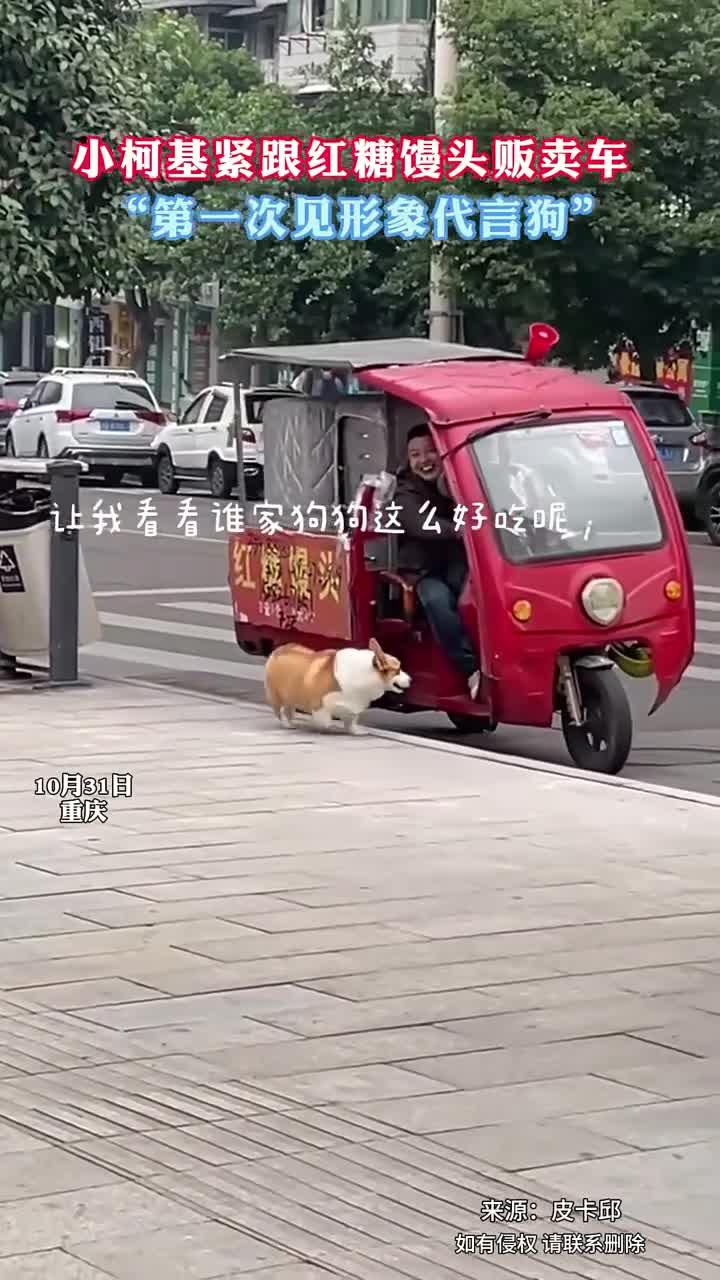 把小短腿逗的口水直流