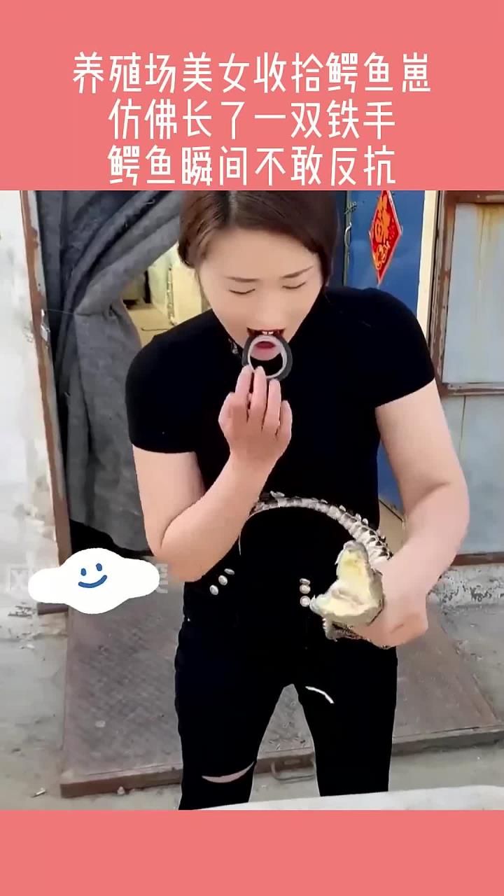 养殖场美女收拾鳄鱼崽，仿佛长了一双铁手，鳄鱼瞬间不敢反抗