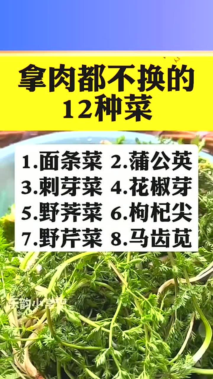 拿肉都不换的十二种菜