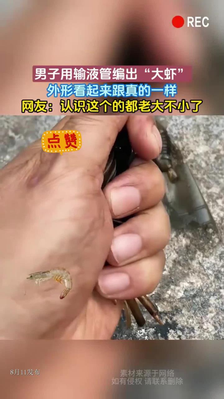 男子用输液管编出“大虾”，外形看起来跟真的一样，网友：认识这个的都老大不小了