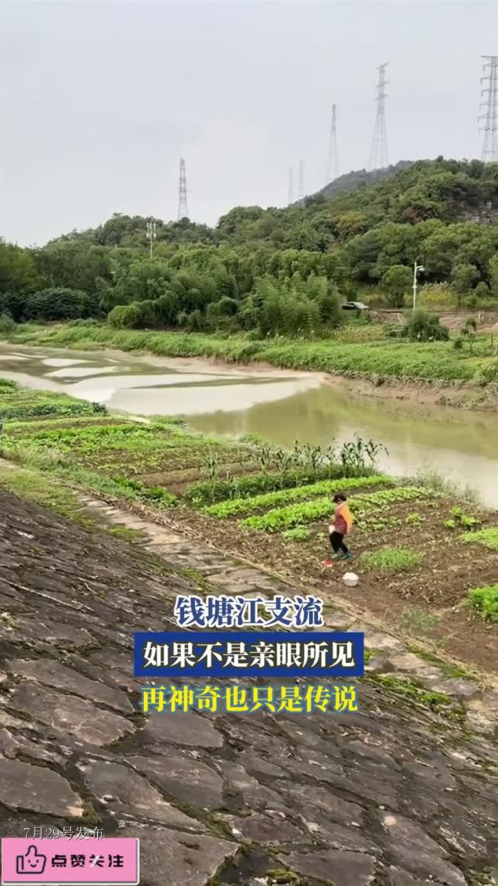 钱塘江支流,如果不是亲眼所见,再神奇也只是传说