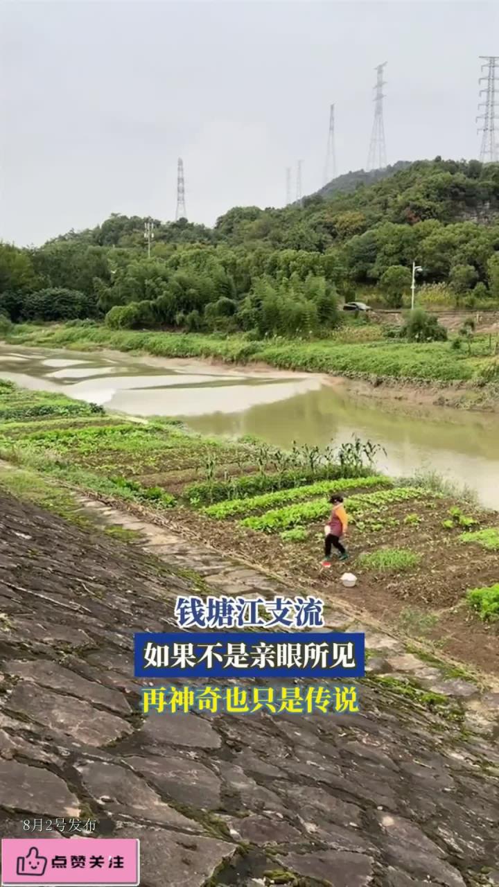 钱塘江支流,如果不是亲眼所见,再神奇也只是传说