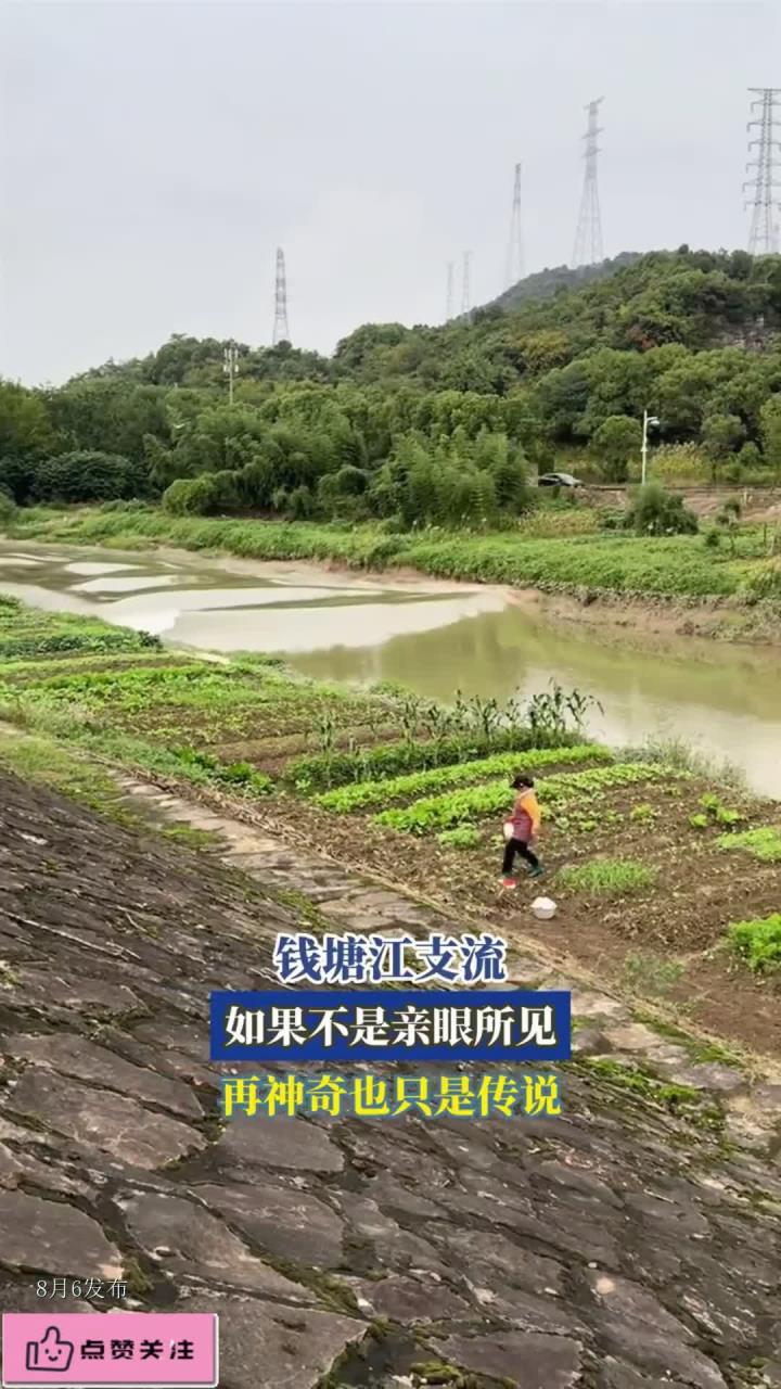 钱塘江支流,如果不是亲眼所见,再神奇也只是传说