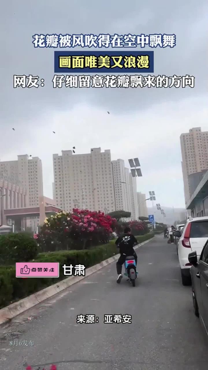 花瓣被风吹得在空中飘舞，画面唯美又浪漫