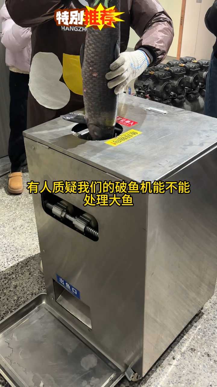 杀鱼机不能处理大鱼吗?