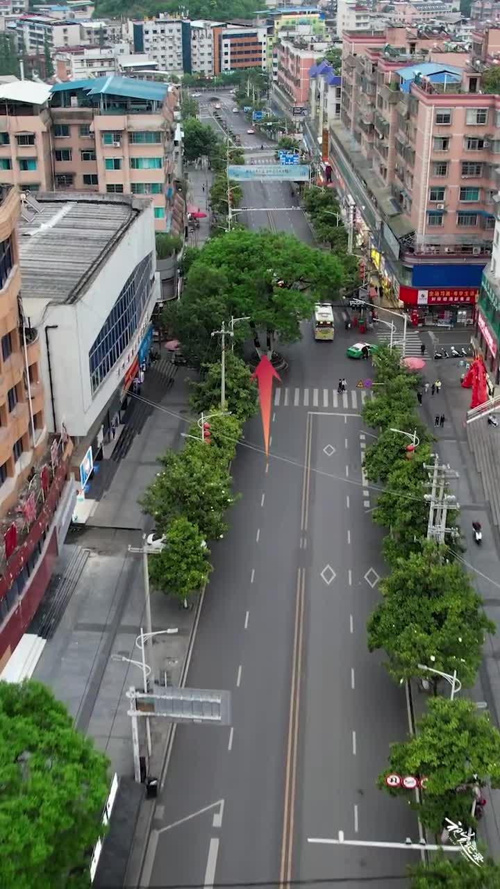 贵州神秘“钉子树”,来往车辆纷纷绕行,树下还有个木牌,到底是什么树,至今无人敢动