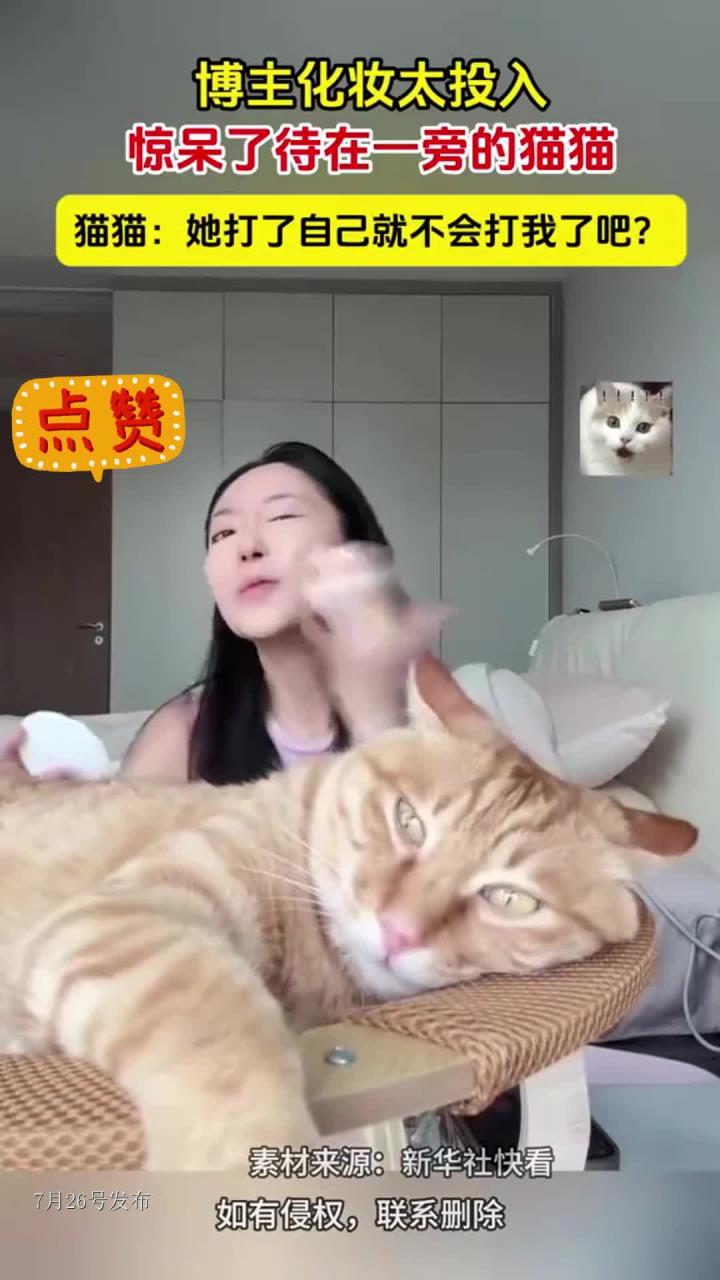 博主化妆太投入，惊呆了待在一旁的猫猫，猫猫：她打了自己就不会打我了吧？