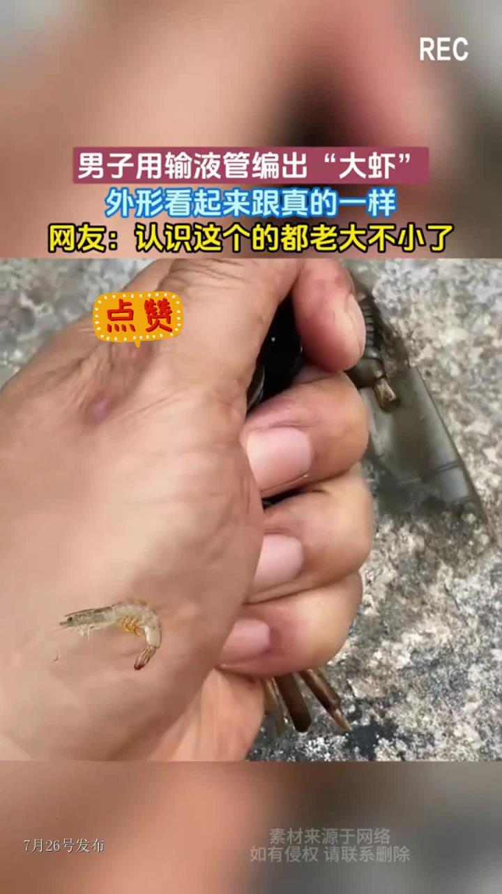 男子用输液管编出“大虾”，外形看起来跟真的一样，网友：认识这个的都老大不小了