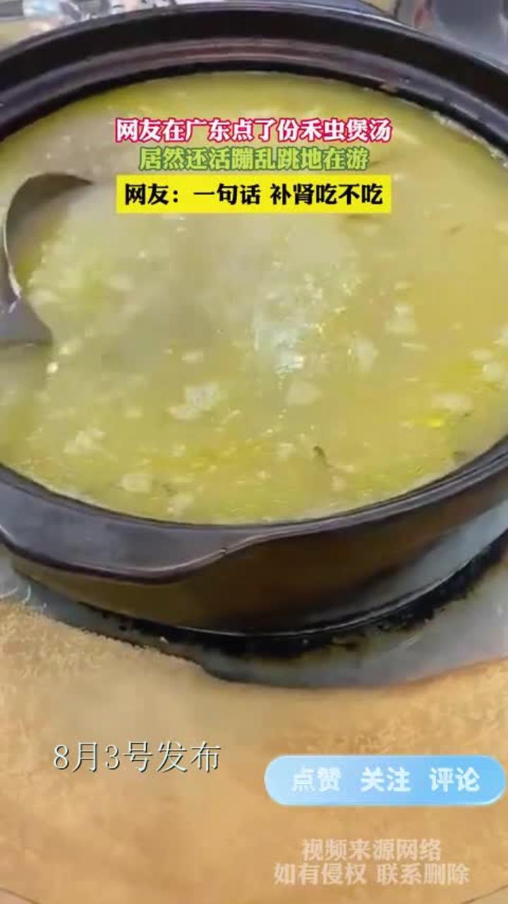 网友在广东点了份禾虫煲汤,居然还活蹦乱跳地在游