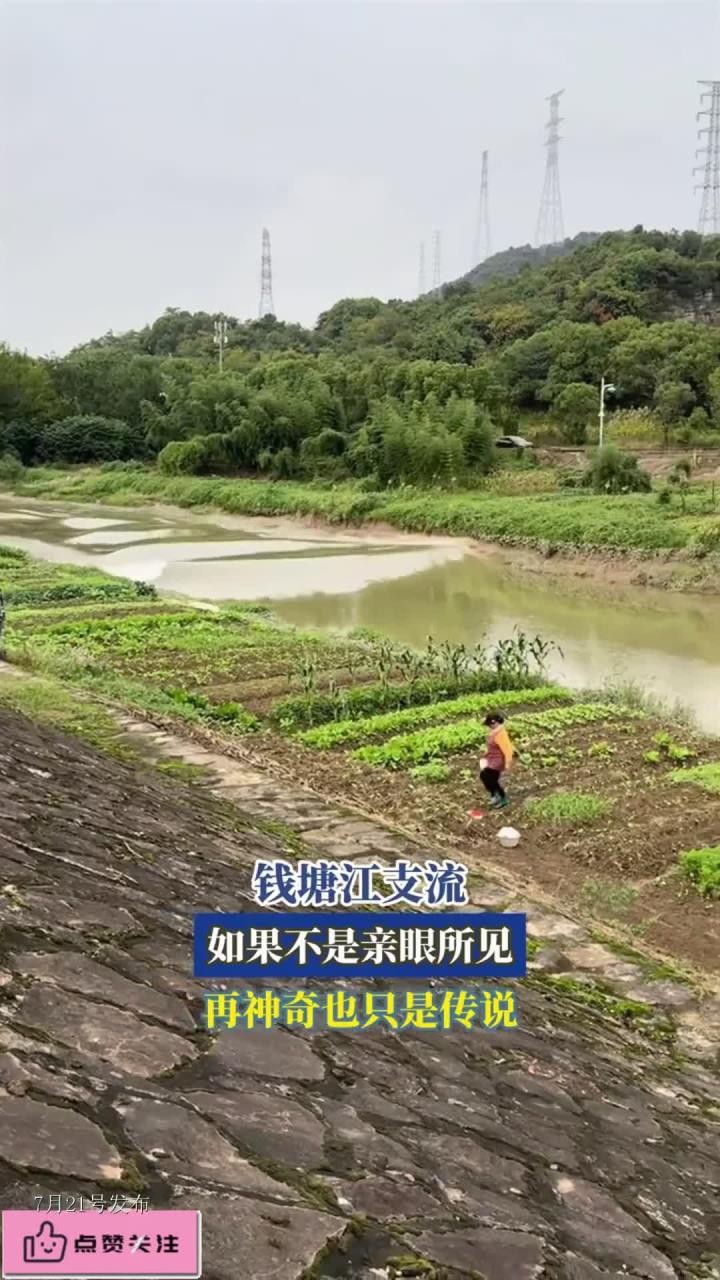 钱塘江支流,如果不是亲眼所见,再神奇也只是传说