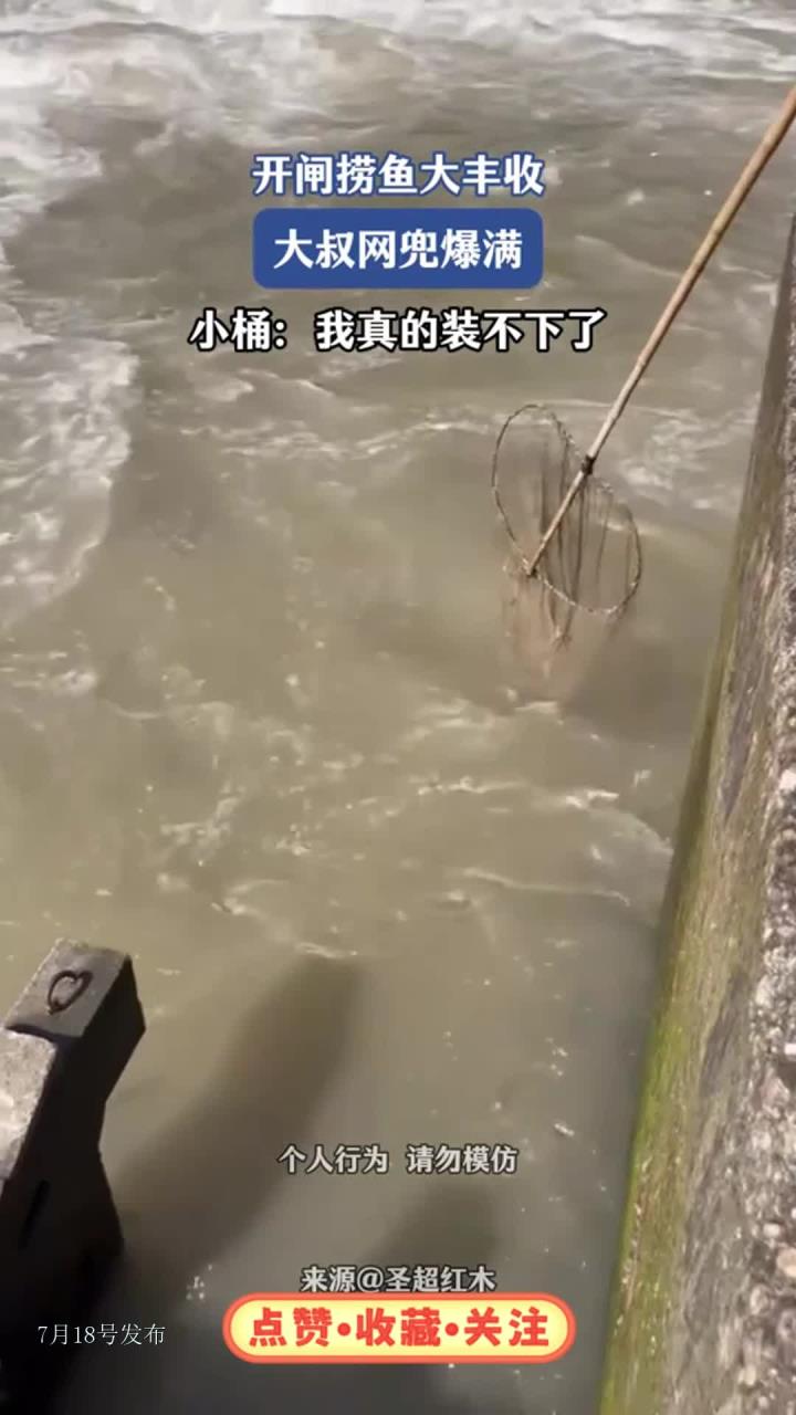 开闸捞鱼大丰收，大叔网兜爆满，小桶：我真的装不下了