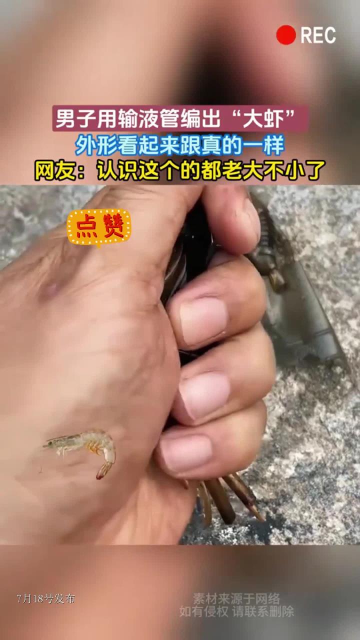 男子用输液管编出“大虾”,外形看起来跟真的一样,网友:认识这个的都老大不小了