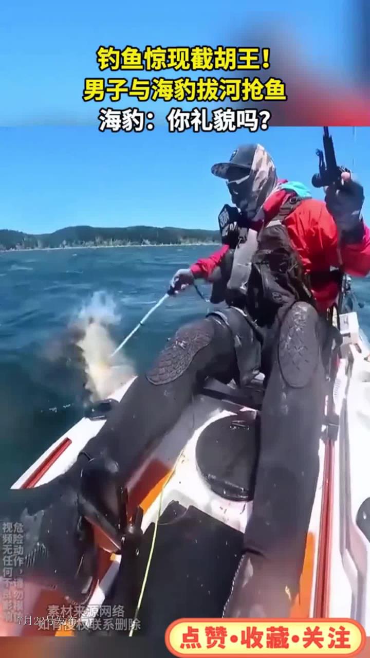 钓鱼惊现截胡王！男子与海豹拔河抢鱼 海豹：你礼貌吗？
