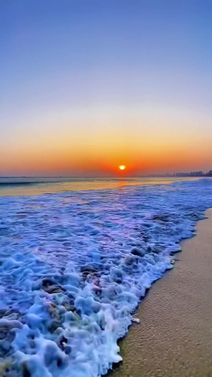 我爱蓝色海洋