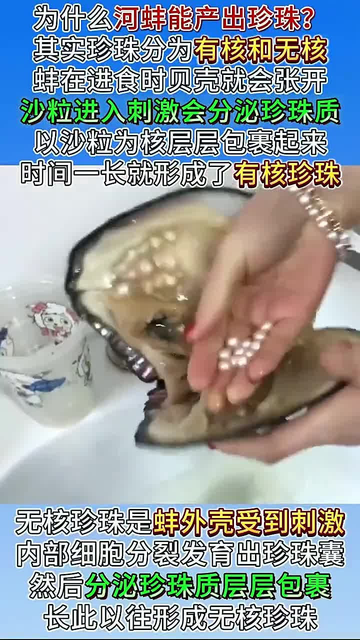 为什么河蚌能产出珍珠？有核珍珠与无核珍珠，两者又有什么区别？