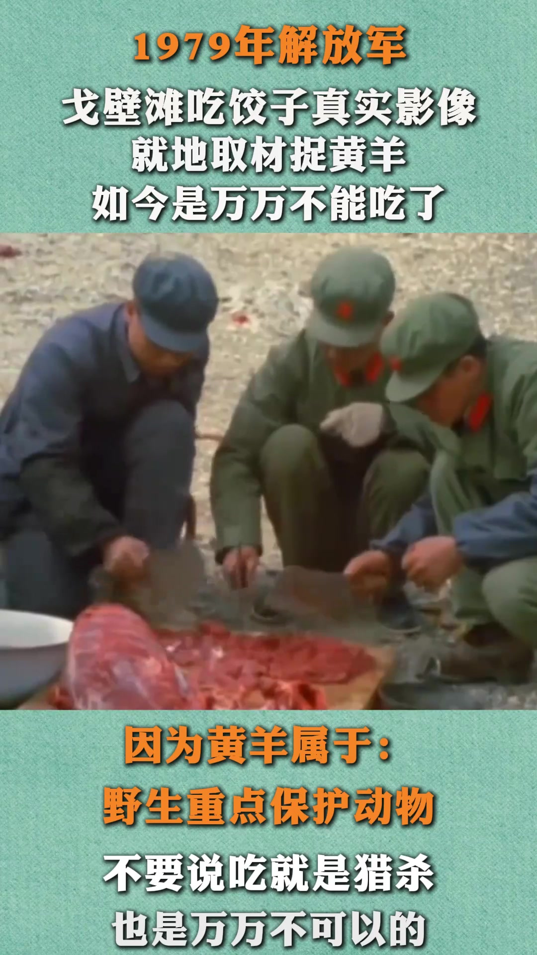 79年解放军吃饺子真实影像,捕捉黄羊当肉馅,如今是万万不能吃了