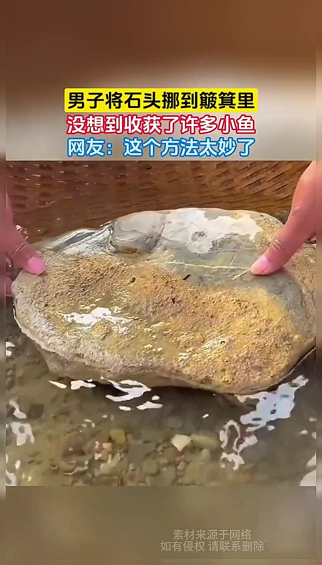 男子将石头挪到簸箕里,没想到收获了许多小鱼,网友:这个方法太