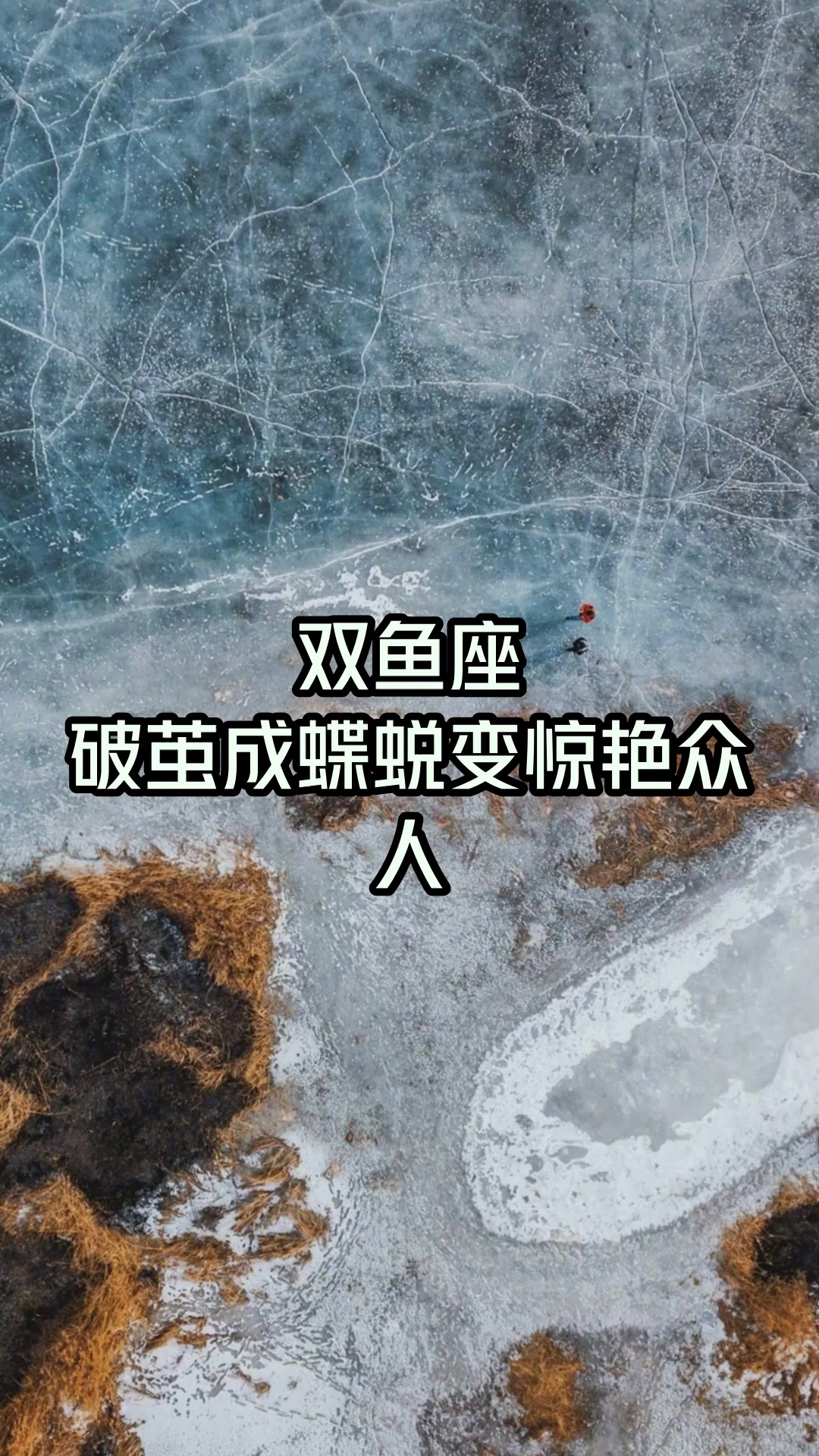 双鱼座，破茧成蝶蜕变惊艳众人