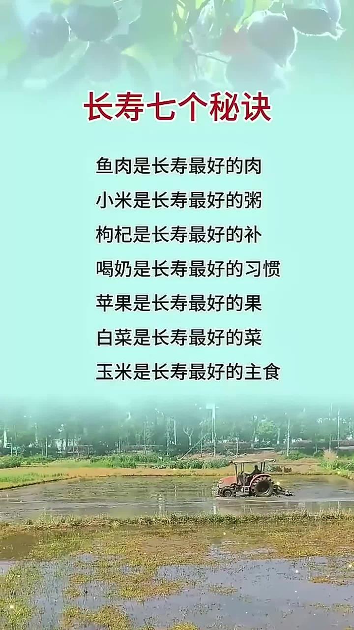长寿七个秘诀,小米是长寿最好的粥,白菜是长寿最好的菜