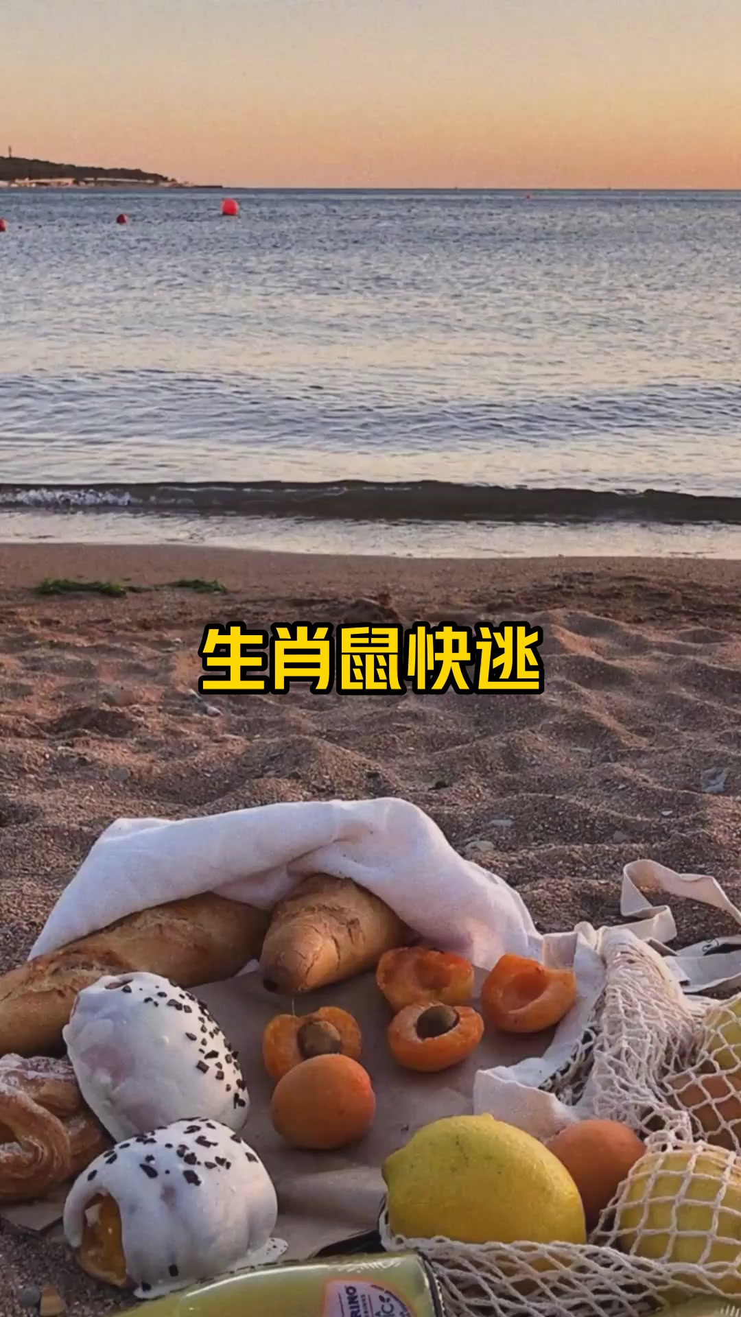 生肖鼠快逃!
