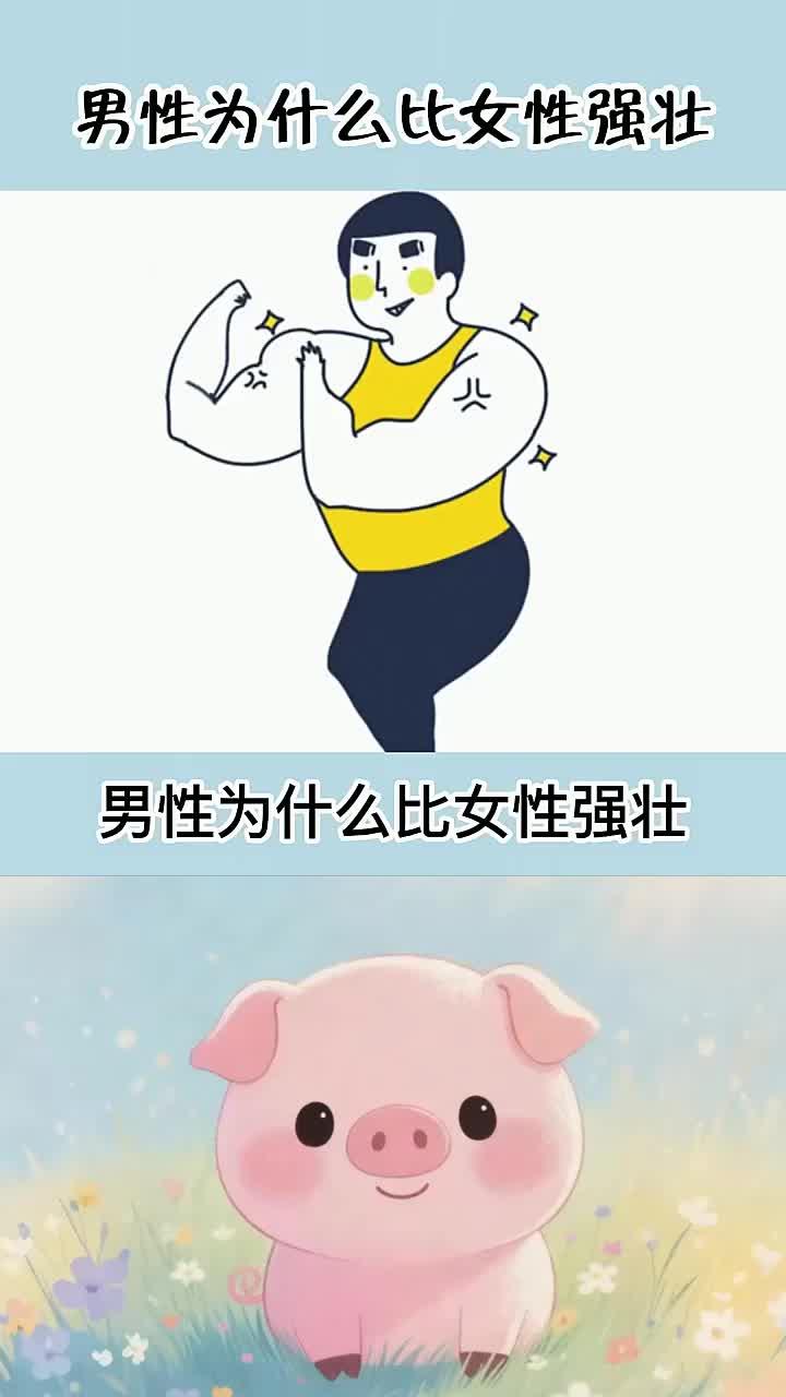 都知道男性比女性强壮,但为何如此?10s告诉你!