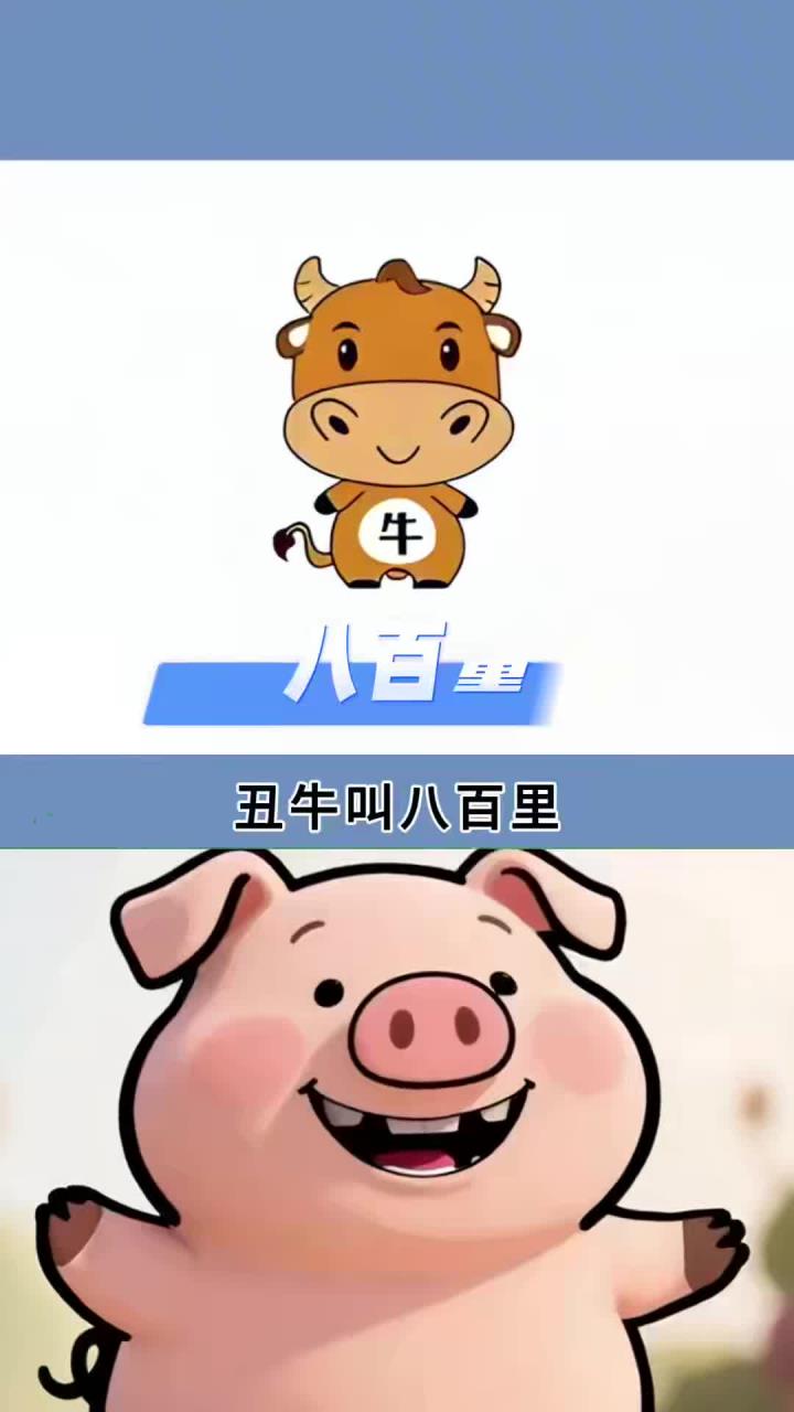 每天分享一个冷知识:来看看你的生肖雅称是什么