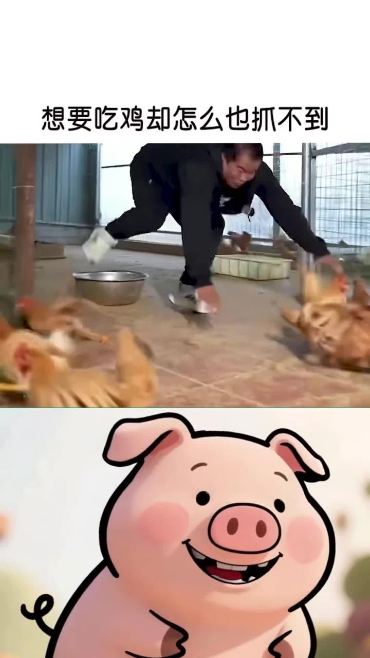 每天分享一个冷知识：教你自制捉鸡神器