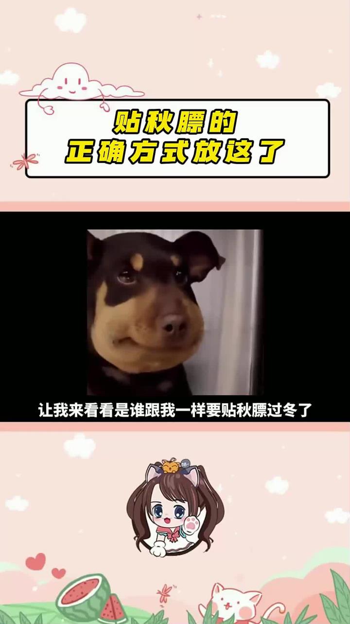 让我看看谁还不知道贴秋膘的解腻搭子，康师傅陈皮酸梅汤！