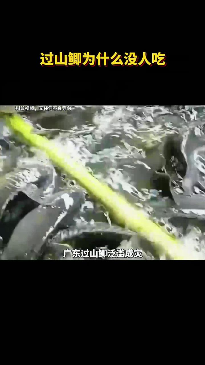 过山鲫为什么没人吃?看完才知道是这些原因!