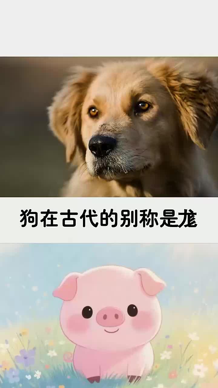 这些动物在古代的别称你别说还真挺别称的