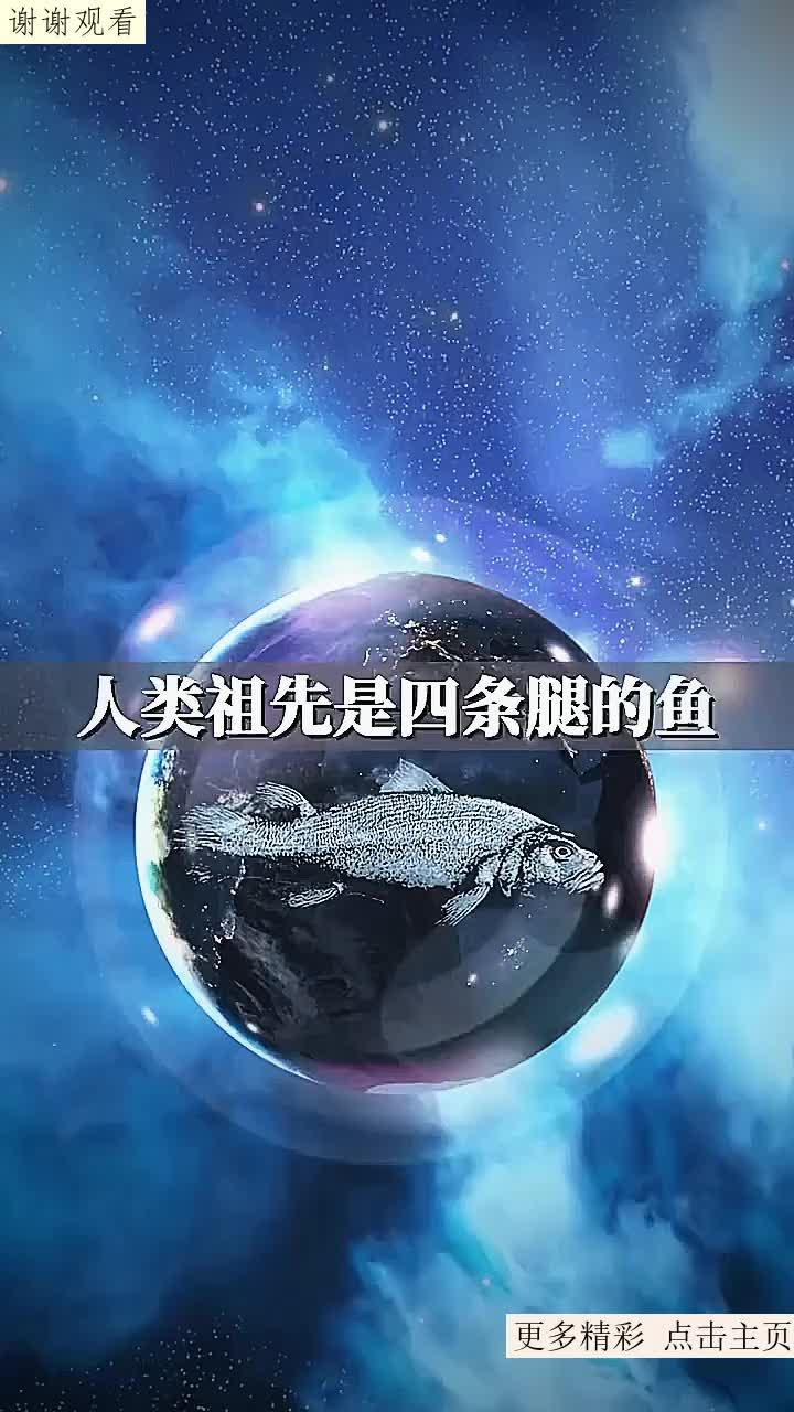肉鳍鱼类在大约5亿年前开始进化,逐渐长出四肢和脊椎成为了陆地生物的祖先