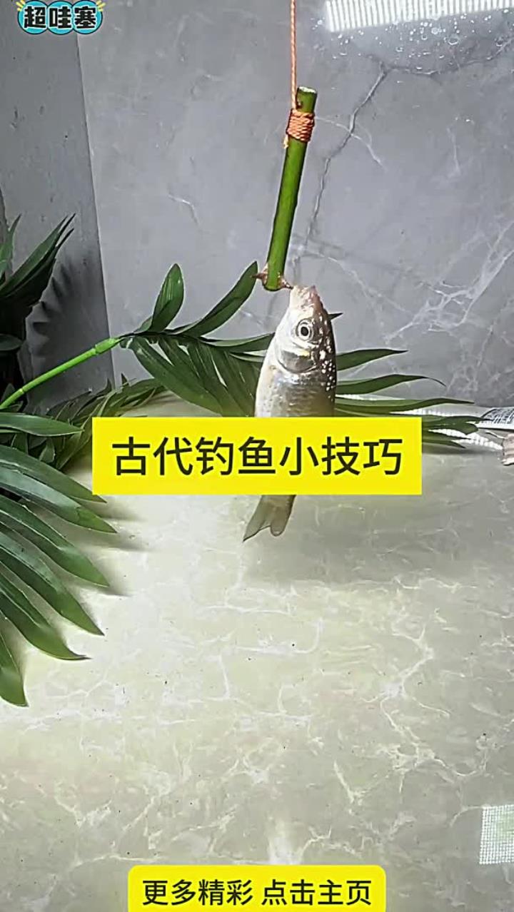 古代钓鱼小技巧 古代钓鱼小技巧