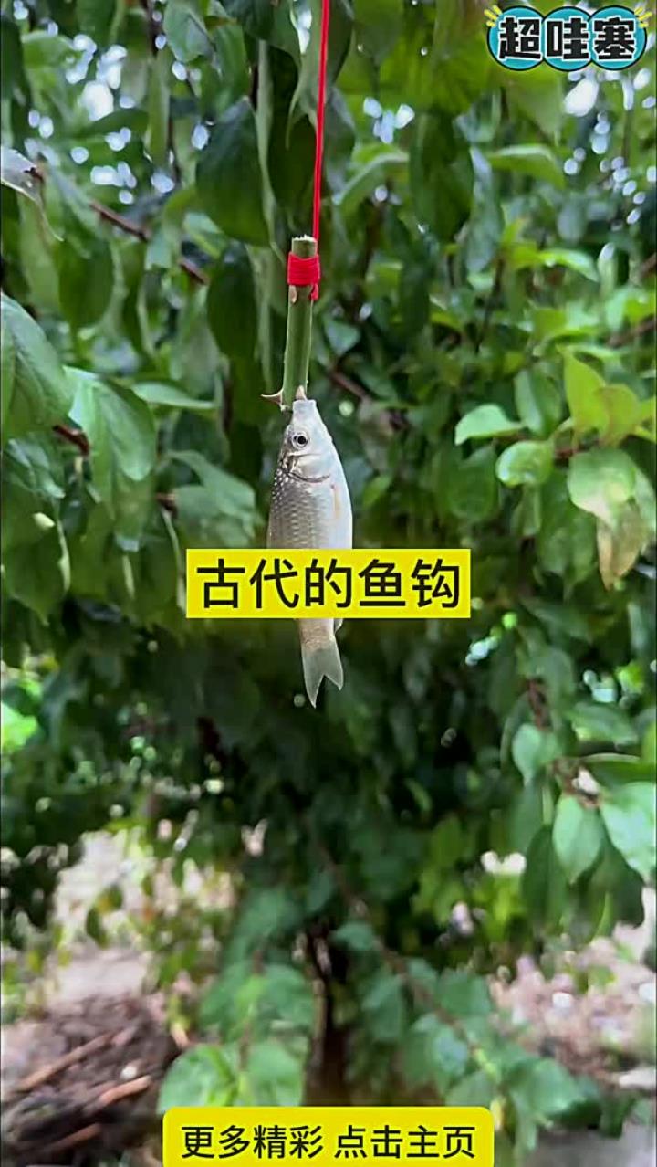 姜太公的鱼钩 姜太公的鱼钩