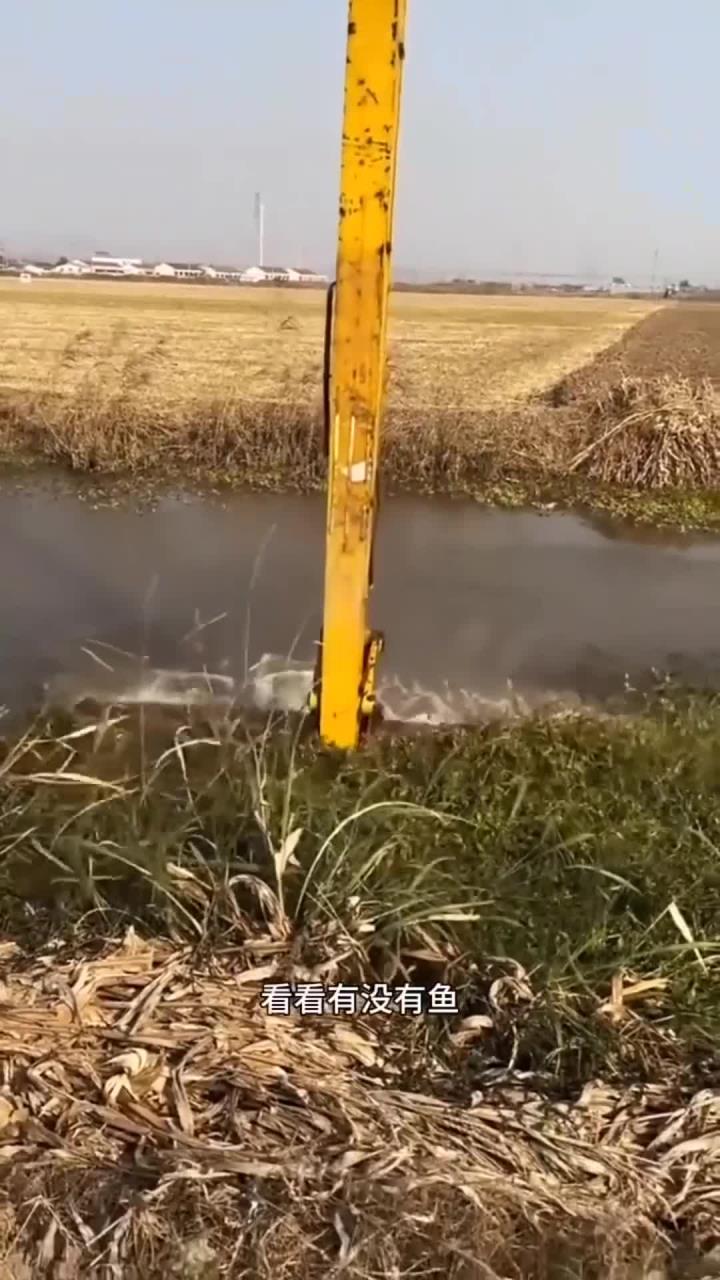 钩机拔鱼之清理河草!