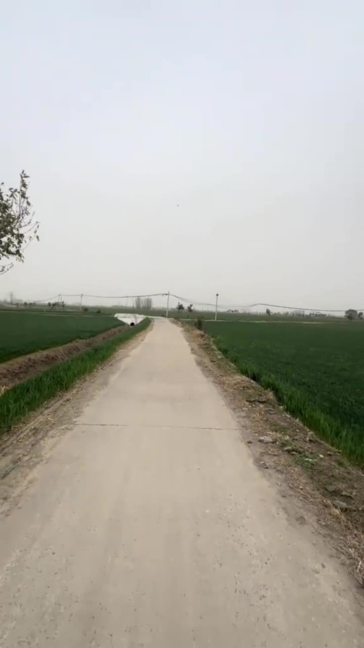 摔炮还是看名牌校长玩的哈 摔炮 小金鱼摔炮 摔炮新玩法 DIY手工
