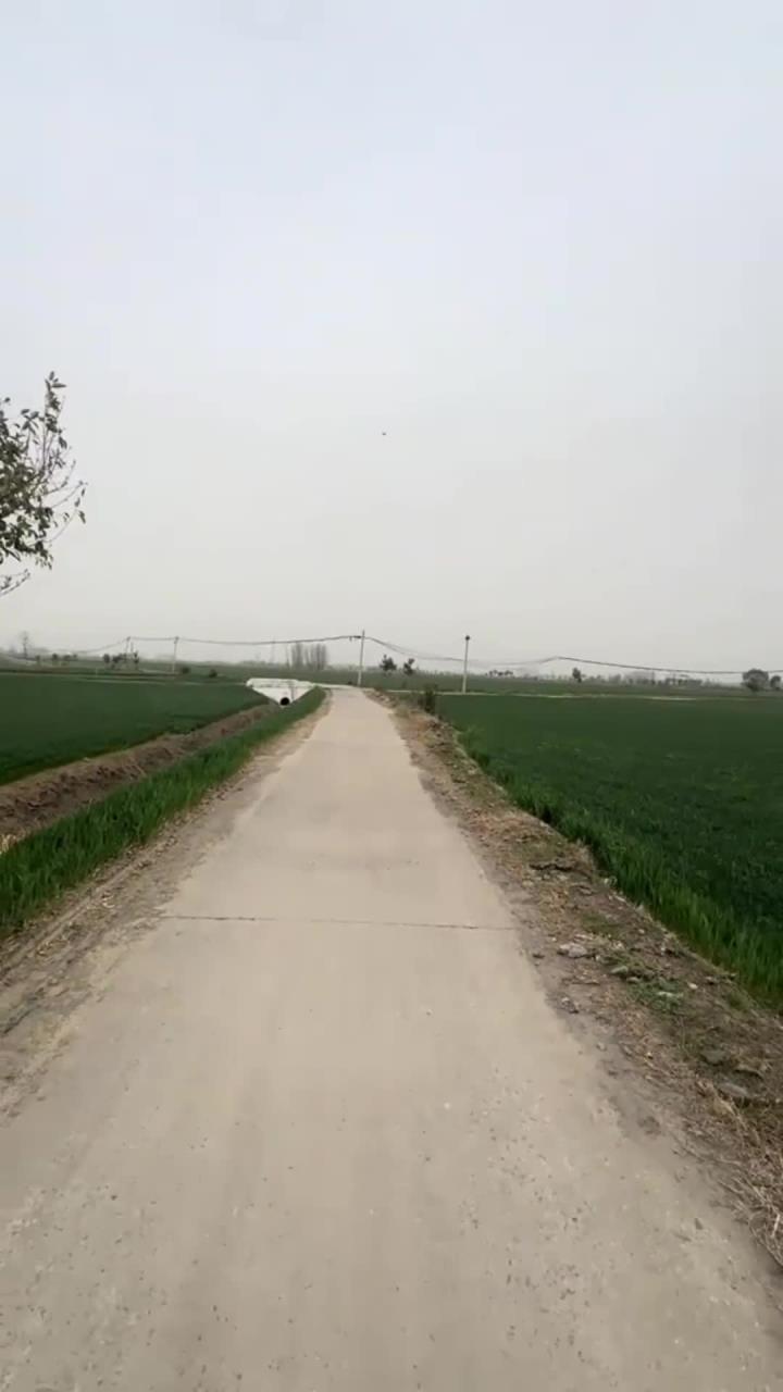 摔炮还是看名牌校长玩的哈 摔炮 小金鱼摔炮 摔炮新玩法 DIY手工