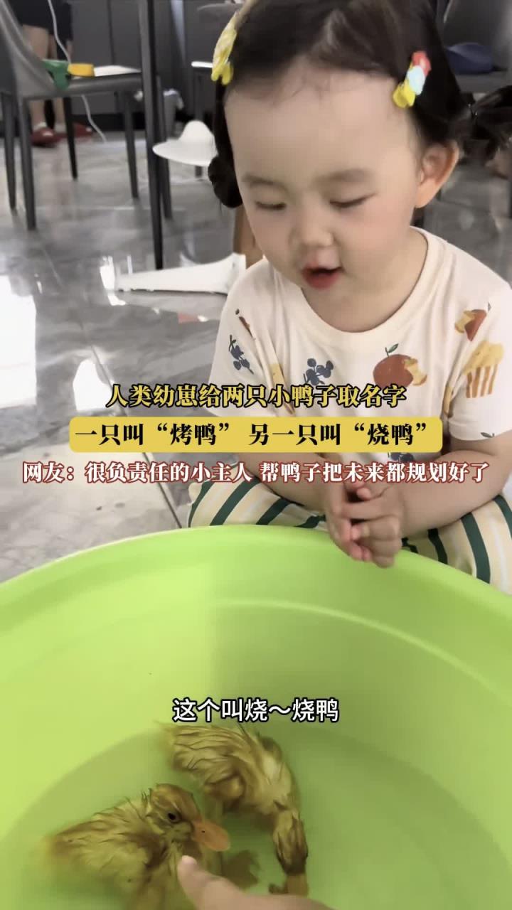 人类幼崽给两只小鸭子取名字,一只叫“烤鸭”,另一只叫“烧鸭”