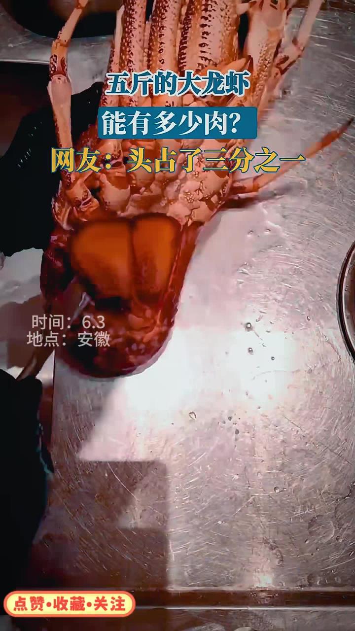 五斤的大龙虾,能有多少肉?网友:头占了三分之一