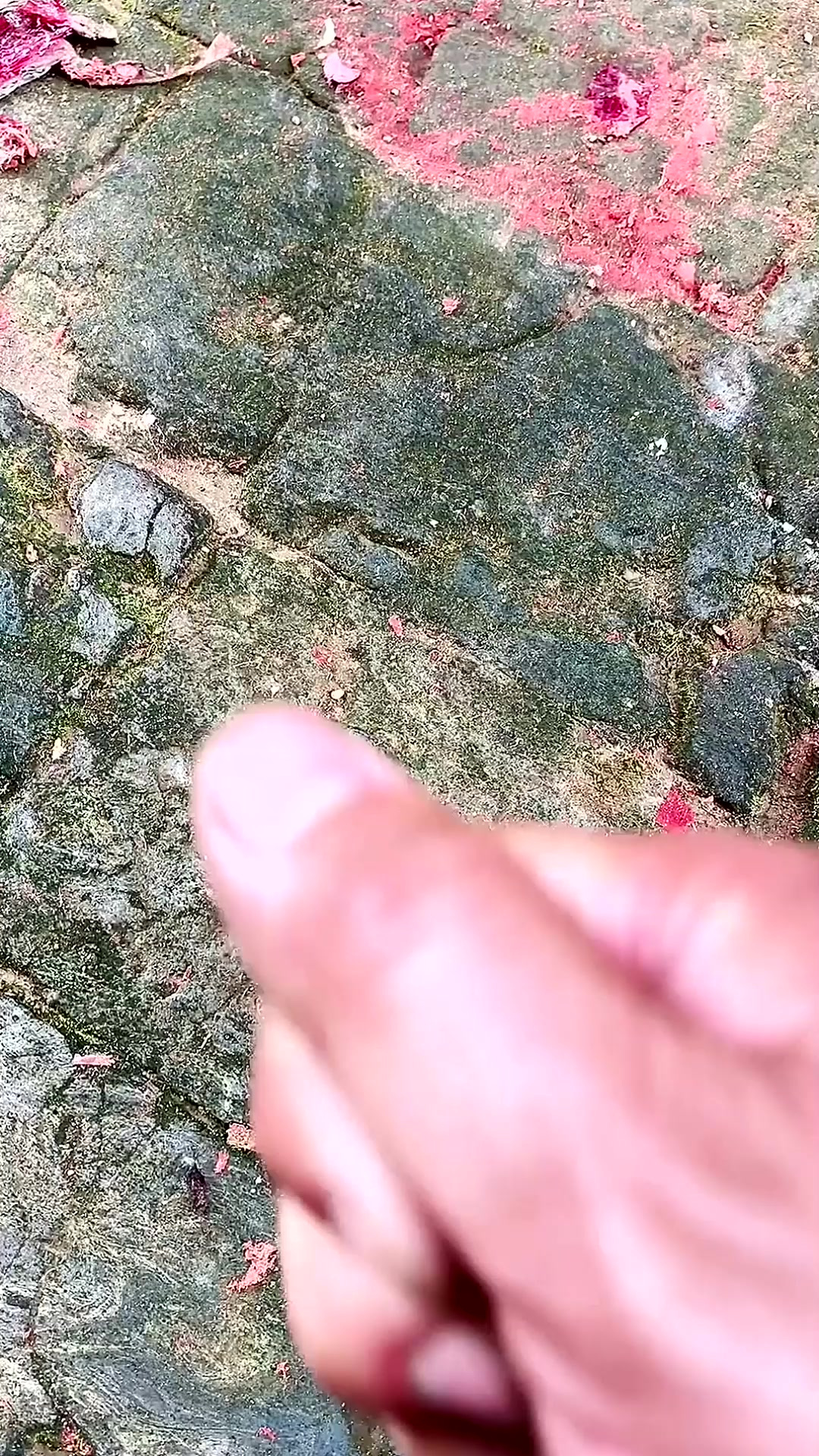 过路黄，你哪里还有吗？我这几乎看不到了