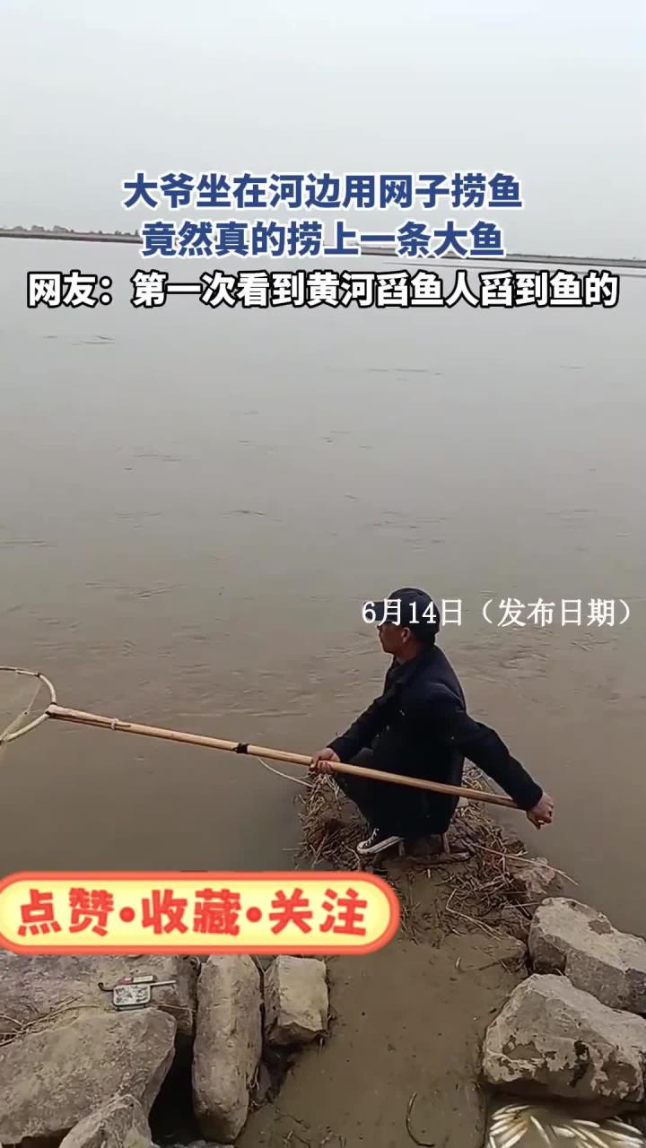 大爷坐在河边用网子捞鱼，竟然真的捞上一条大鱼