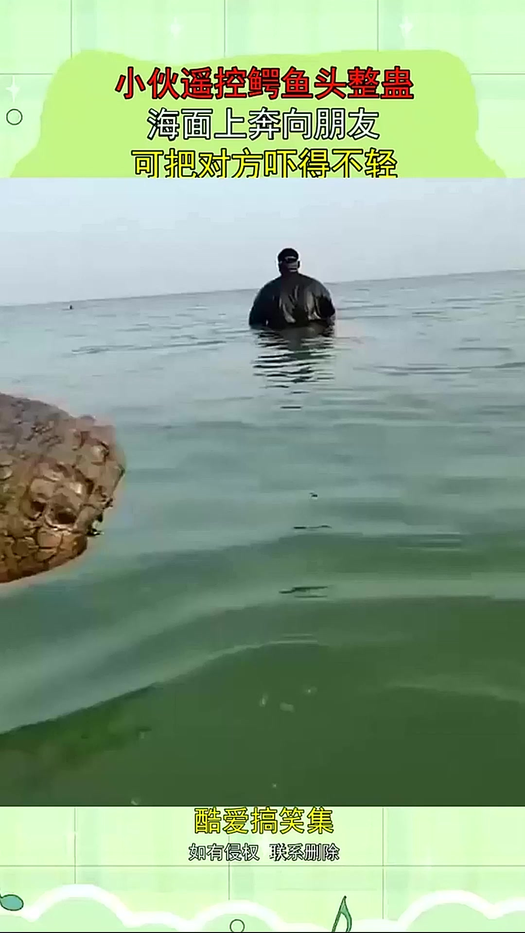小伙遥控鳄鱼头整蛊，海面上奔向朋友，可把对方吓得不轻！