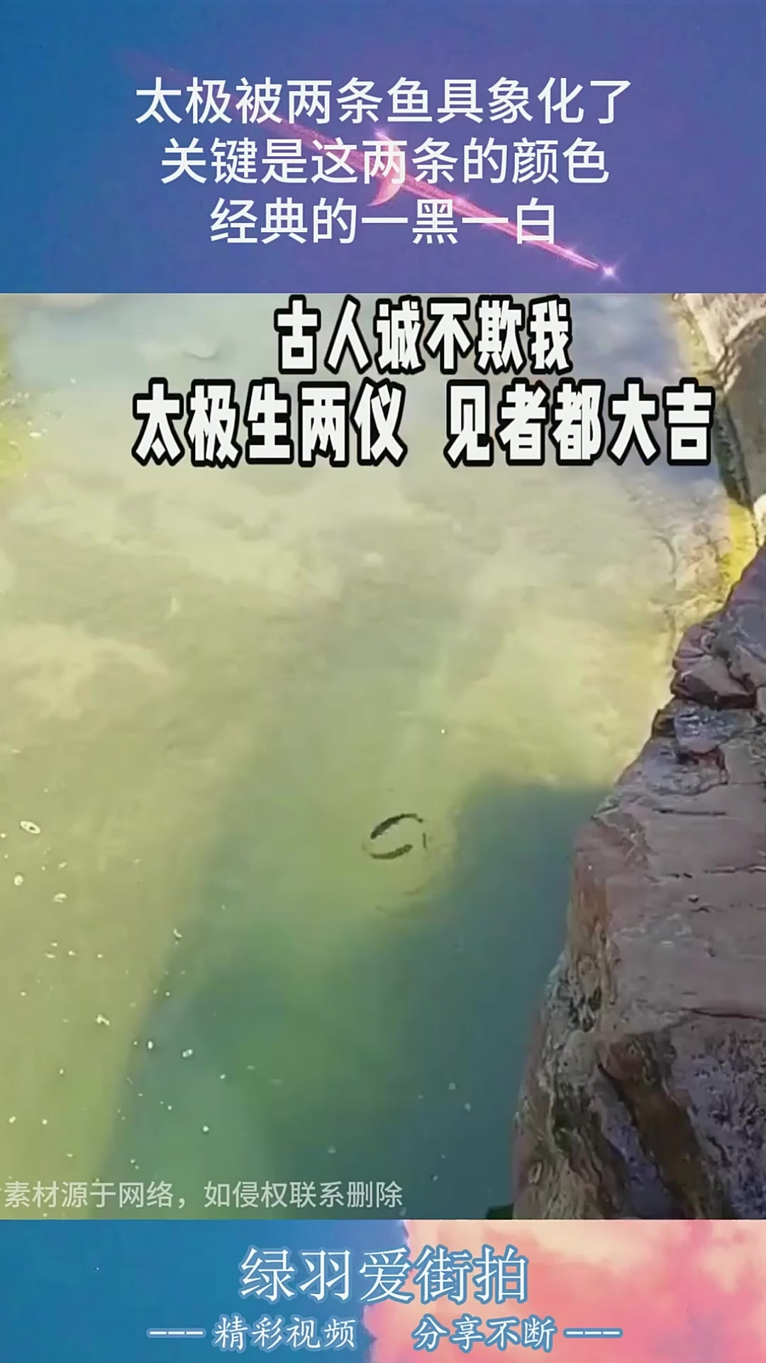 太极被两条鱼具象化了，关键是这两条的颜色，经典的一黑一白！