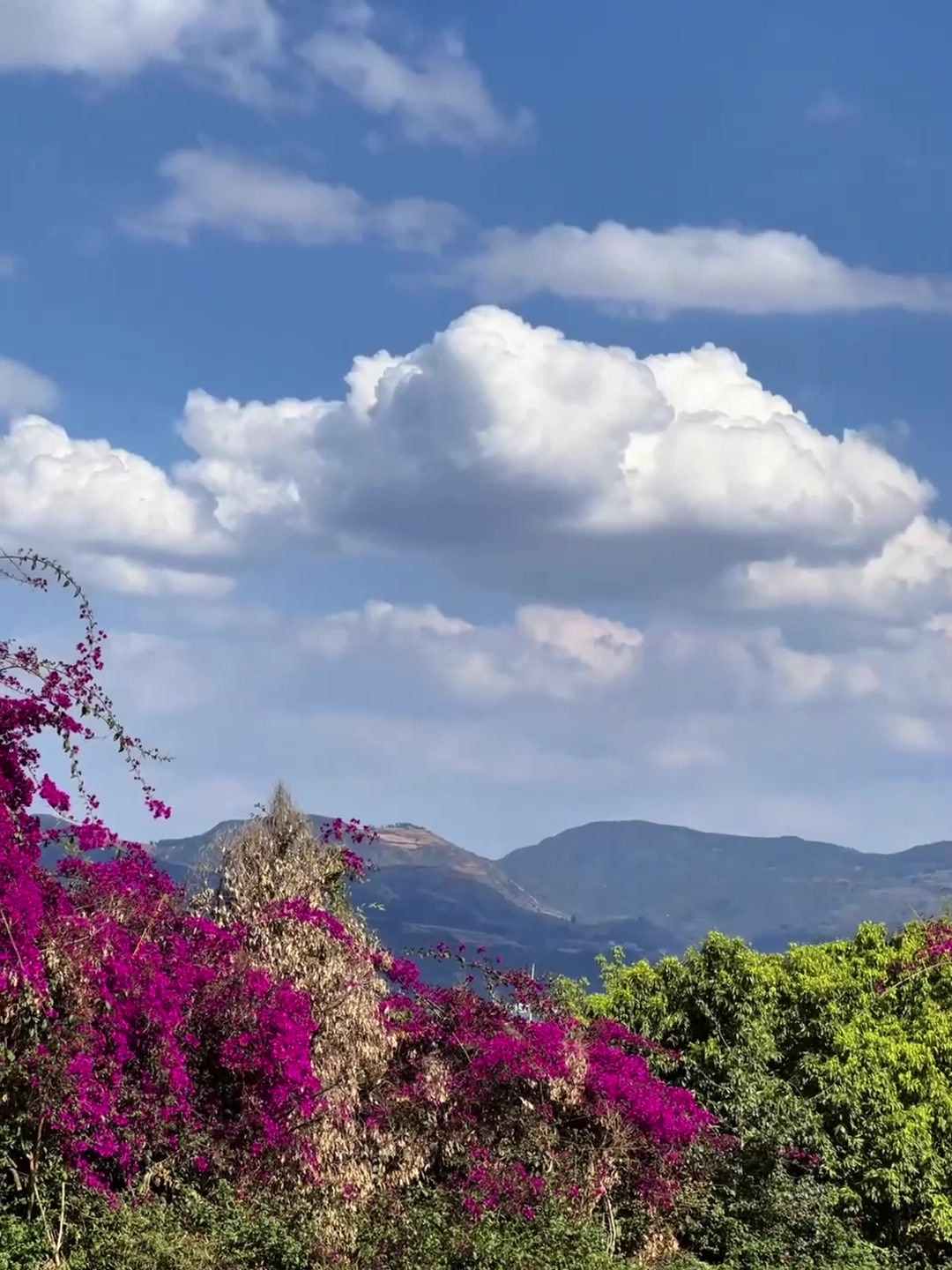 夏日旅行，这个夏天怎么能少了抚仙湖的明星鱼洞呢旅游推荐