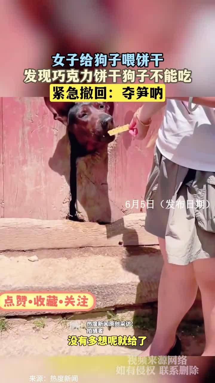女子给狗子喂饼干,发现巧克力饼干狗子不能吃,紧急撤回:夺笋呐