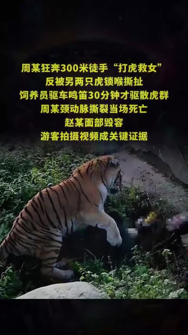 违规下车致母亡!八达岭老虎袭人,反告动物园索赔218万?
